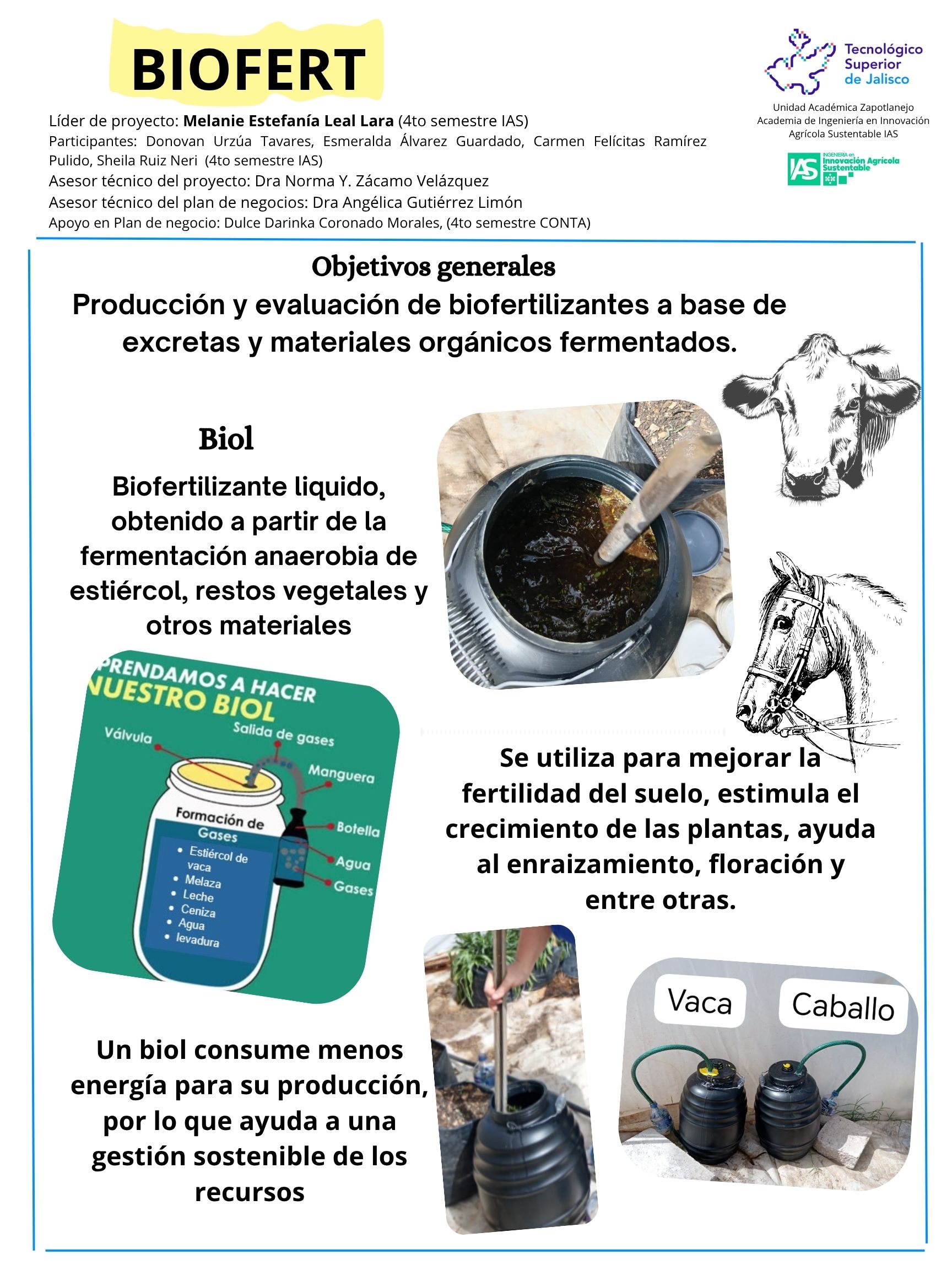 Imagen del Proyecto