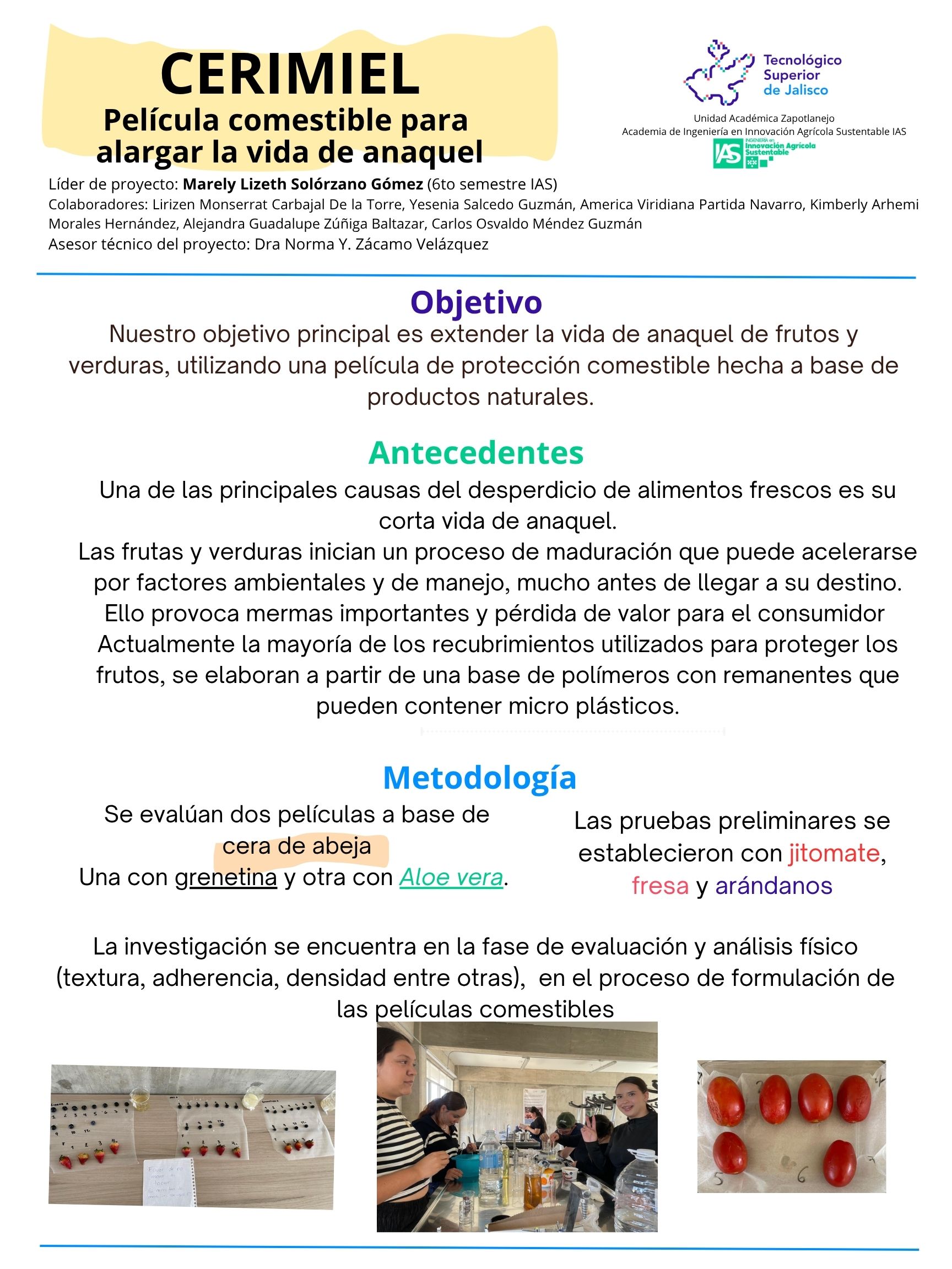 Imagen del Proyecto