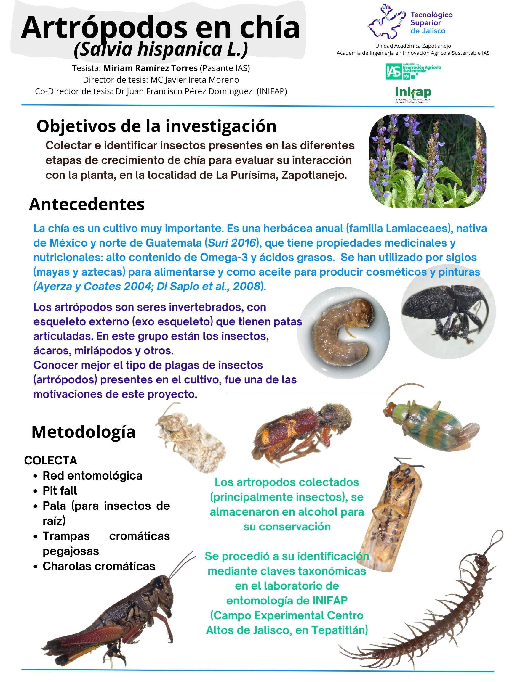 Imagen del Proyecto